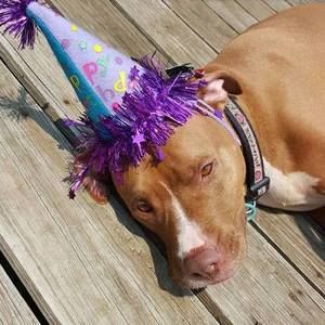 Meet your Posher, Vickie